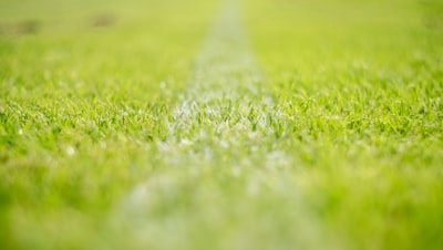 بطولةكاراتيهكوميتيهفنالقتالالذييجمعبينالقوةوالروح